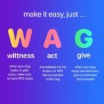 ultrasonic dog bark deterrent device portable dog training tool